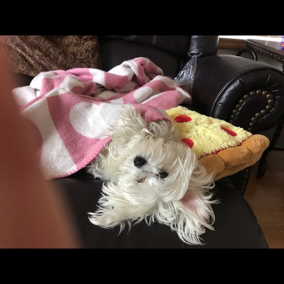 Meet your Posher, Sandra - Picture 2 of 2